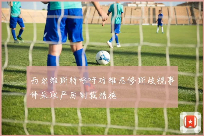 西尔维斯特呼吁对维尼修斯歧视事件采取严厉制裁措施