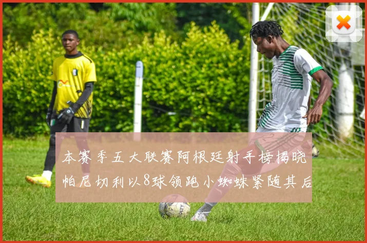 本赛季五大联赛阿根廷射手榜揭晓帕尼切利以8球领跑小蜘蛛紧随其后